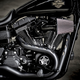 Illustration for article titled Harley-Davidsons Two New Motorcycles Are Actually Awesome